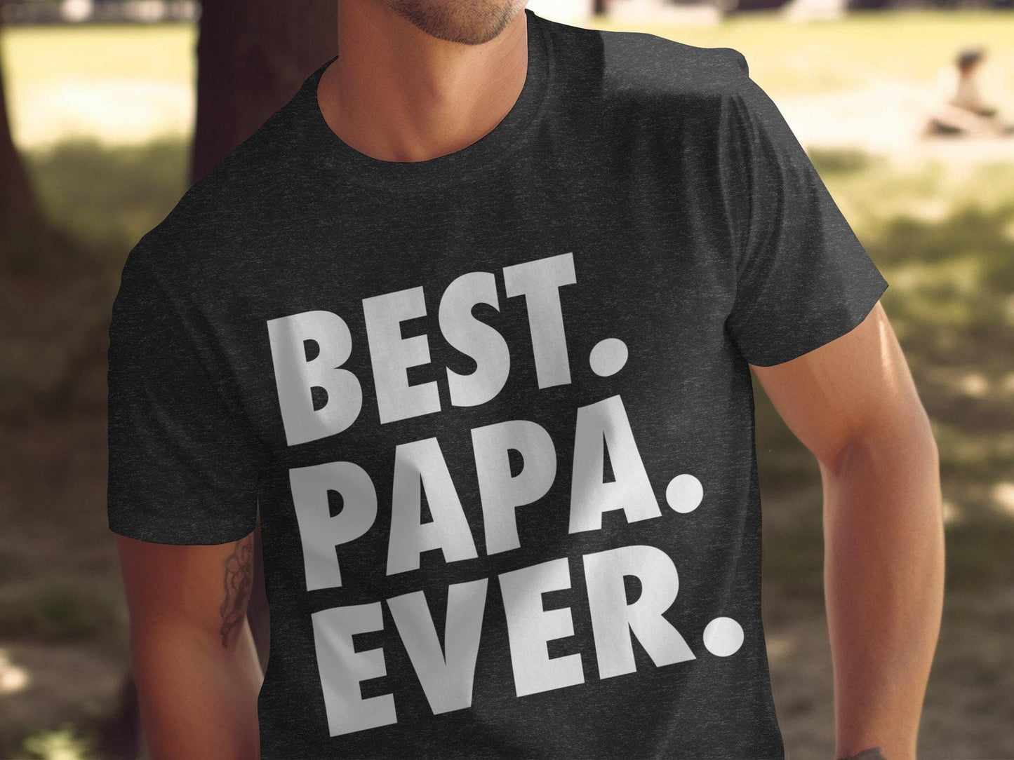 Gift for Dad Best Papa Ever T Shirts, Gifts for Dad, Dad Birthday Gift, Fathers Day Gifts, Papa Tshirts